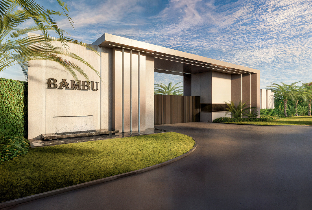 Bambú